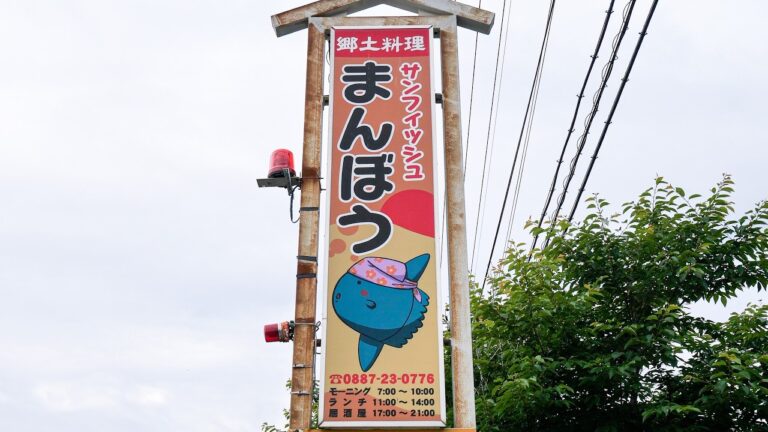 最強日替わり定食が爆売れ！ポツンと大衆食堂を営む72歳女将の仕事丨JAPANESE FOOD