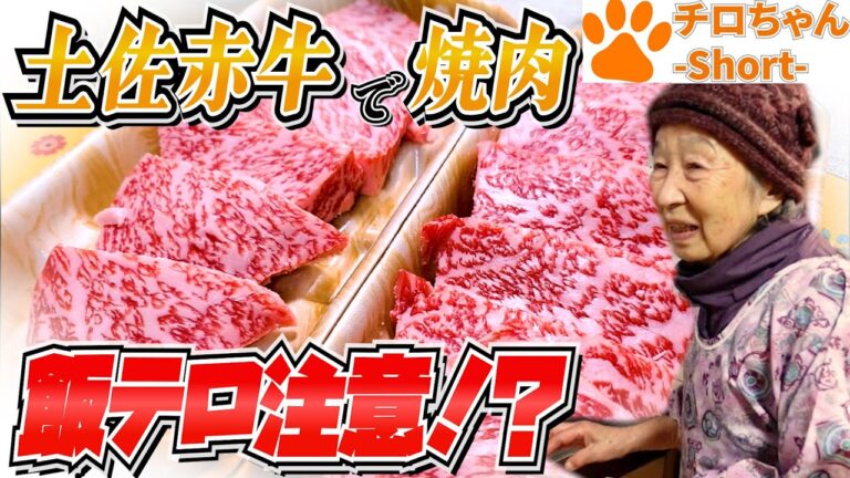 土佐赤牛とヤギソーセージで焼き肉を食べた。４K＃shorts