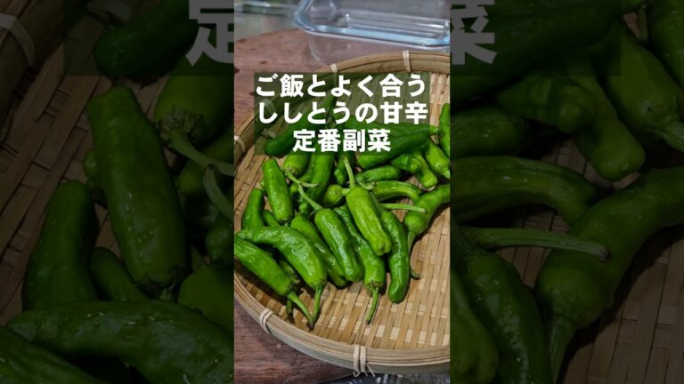 おばあちゃんの味。ししとうの素朴で美味い甘辛焼き。簡単おつまみ作り置き副菜レシピ。ご飯のお供 お弁当