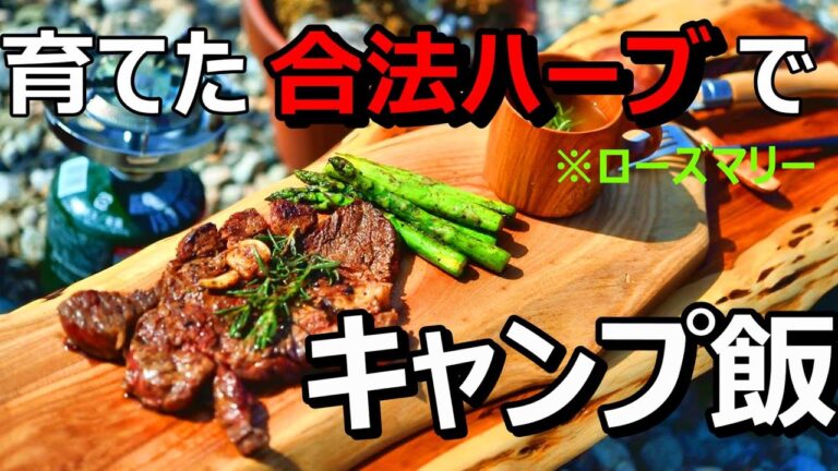 ソロキャンプ！育てた【合法ハーブ】でキャンプ飯！※ローズマリー