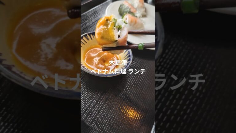木更津 ベトナム料理 ランチ上手いところ! ランチセットと生春巻き！#ベトナム料理 #生春巻き #ベトナムフォー #pho #쌀국수