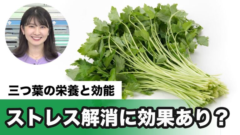 三つ葉の栄養と効能　春のストレス解消にも効果あり!?