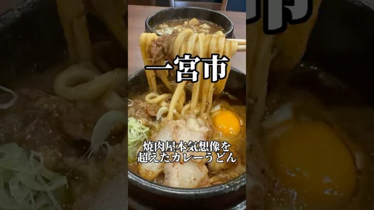 愛知焼肉屋本気のホルモンカレーうどん　　半蔵一宮店　#愛知グルメ #焼肉 #japanesefood #shorts