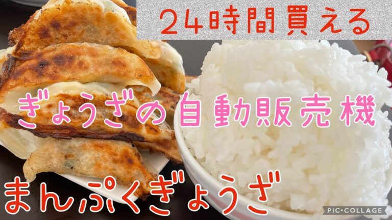 【足利市】まんぷく餃子💚足利初の自動販売機餃子🥟居酒屋恵さんの餃子を食べやすいサイズに改良された食べやすくて本格餃子を２種類買って来たよ🤗💓家で焼いて米と食べたら最高に米が進んだ🍚