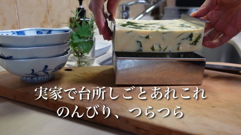 #30  スウィッチェル（SWITCHEL)｜わかめ入り卵豆腐｜実家キッチンでのゆる作業日記