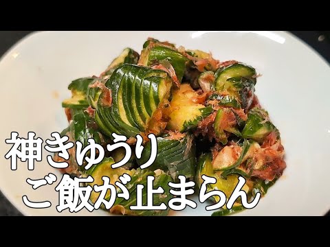 【無限きゅうり】パリポリ止まらん！梅ポン酢おかか和えが旨すぎた！
