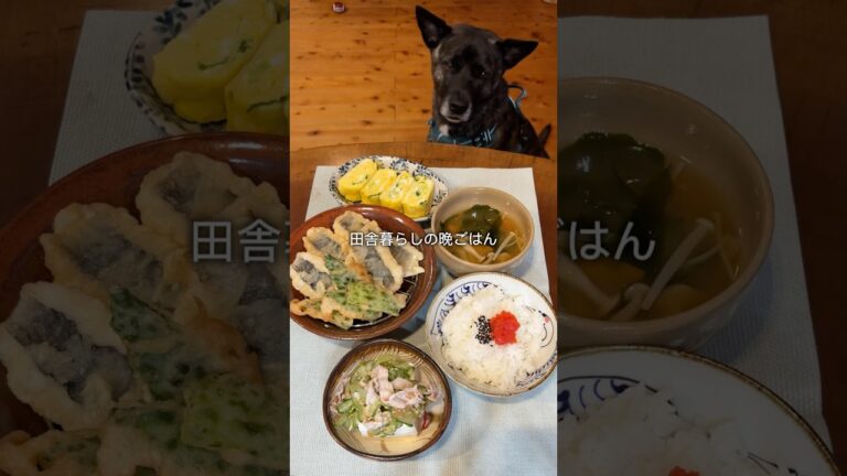 晩ごはんはハモ・ゴーヤのの天ぷら #料理 #晩ごはん作り #簡単レシピ #晩ごはん