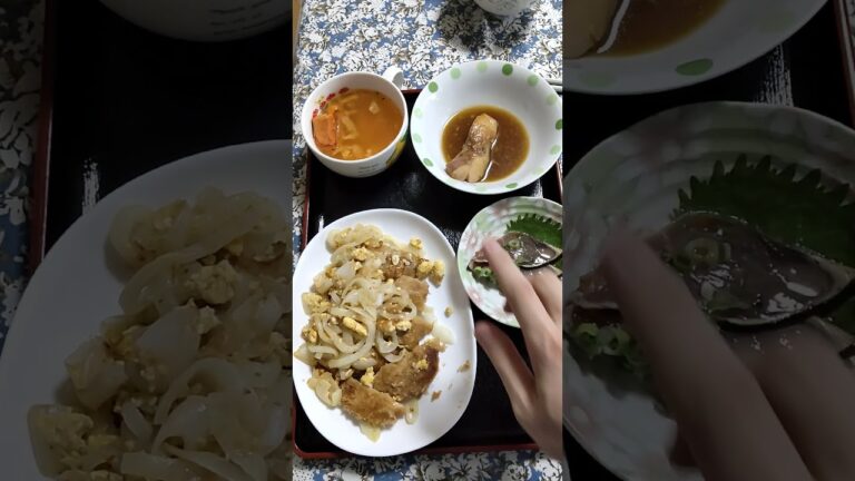 とんかつ風(2025年7月27日晩御飯)