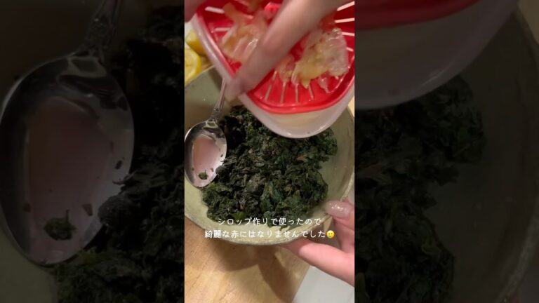 【料理Vlog】今が旬🌟赤紫蘇としらすのふりかけ｜ゆかり｜簡単レシピ✏️