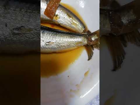 イワシの煮付け