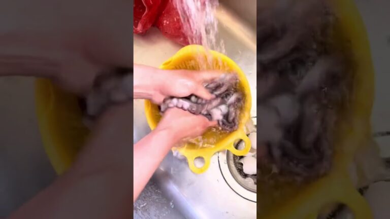 最速3分で売り切れるキムチ家の【タコキムチ】息子が作ってみた #koreanfood #キムチ #キムチの家 #佐渡島