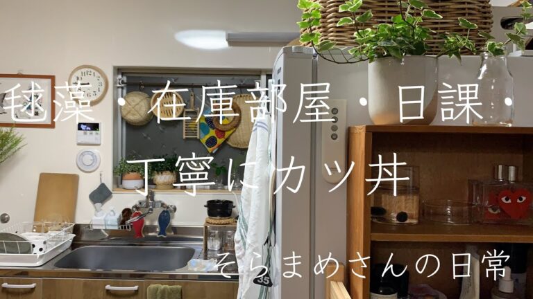 ＃１３【暮らしvlog】マリモが白くなった/在庫部屋の整理整頓/丁寧にカツ丼