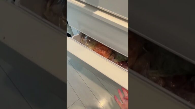 毎日の鍋ダイエット飽きてきたなー #ダイエット #ダイエッター #shorts