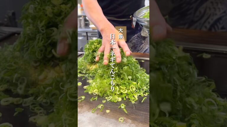 圧巻のビジュアル！ネギ爆盛りの絶品すじねぎ焼き