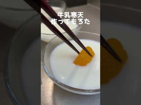 牛乳寒天作ってもろた #Shorts #お菓子作り #寒天