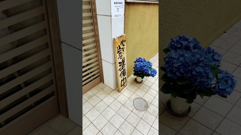 冷凍とんかつ？