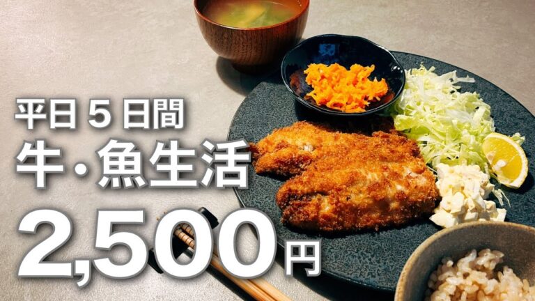 【平日5日間 夫婦で2500円】牛肉・お魚メインで昼＆夕食の献立 / 味付け超楽ちんの常備菜4品＆牛肉料理5品 / 不妊治療のその後