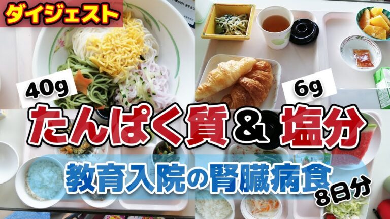 【慢性腎臓病】教育入院の腎臓病食まとめ｜たんぱく40g塩分6gダイジェスト（7泊8日分）