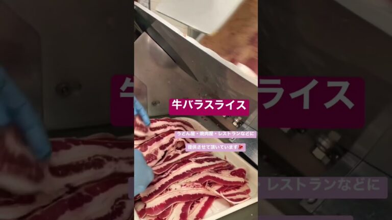 全国発送 食肉卸 牛バラスライス 肉うどん 焼肉 レストラン