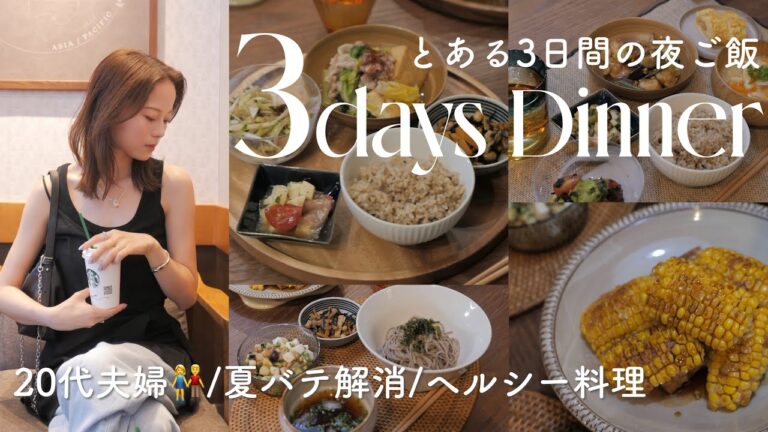3日間の夜ごはん🌙*ﾟ夏バテ解消！暑い夏でも食欲がそそる🤤夏野菜たっぷり食欲促進ヘルシーご飯🌽🍅