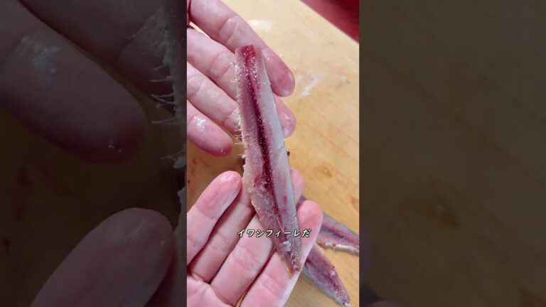 秘伝・おさしみアンチョビ #shorts