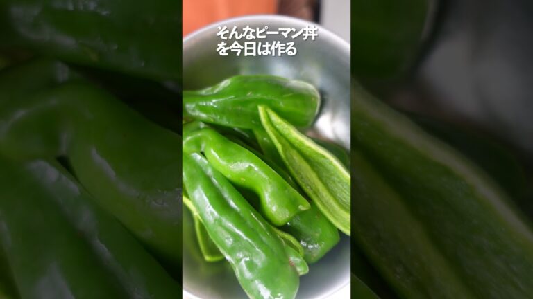 【ピーマン丼】ほろ苦いピーマンをごま油でさっと炒めて作った超簡単飯テロ丼！濃いめのタレがご飯とあう！！