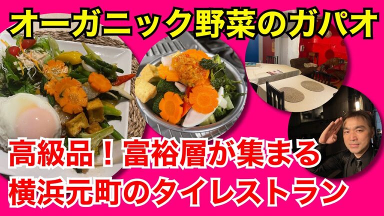 【横浜タイ料理】富裕層ベジタリアンのオーガニック野菜のガパオ＜ブルーエレファンツ横浜元町＞