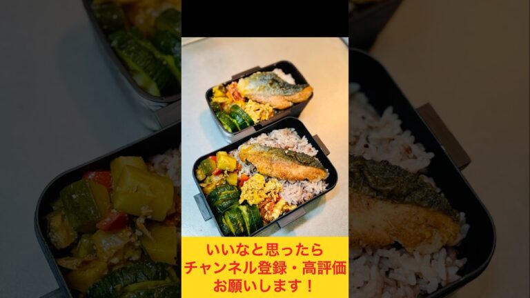 夏野菜の副菜たっぷり！鮭の粉チーズ焼き弁当🐟 #お弁当おかず #food #お弁当動画 #作り置き弁当 #お弁当詰め方 #副菜