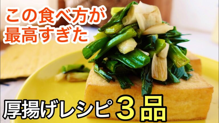 １０分で出来る！アレンジ自在なヘルシー厚揚げ３品！ダイエットレシピ｜高タンパク質