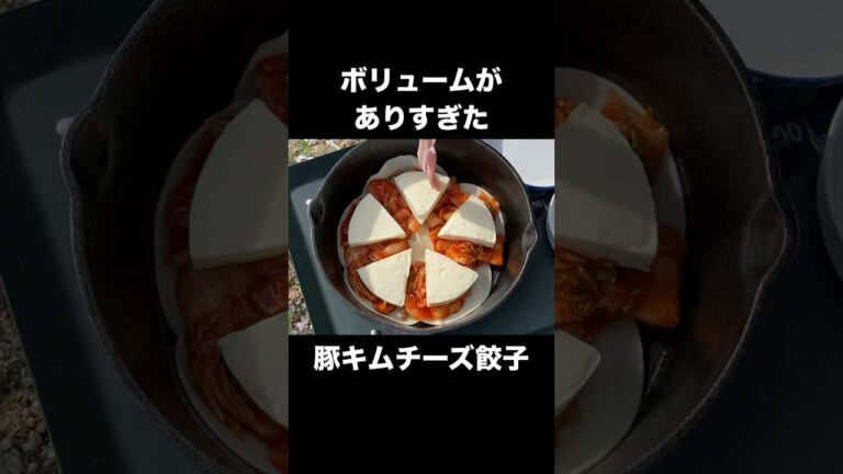 【TikTok飯】バズってた豚キムチーズ餃子やってみた #tiktok #料理 #豚キムチ #チーズ #餃子 #バズり飯  #shorts