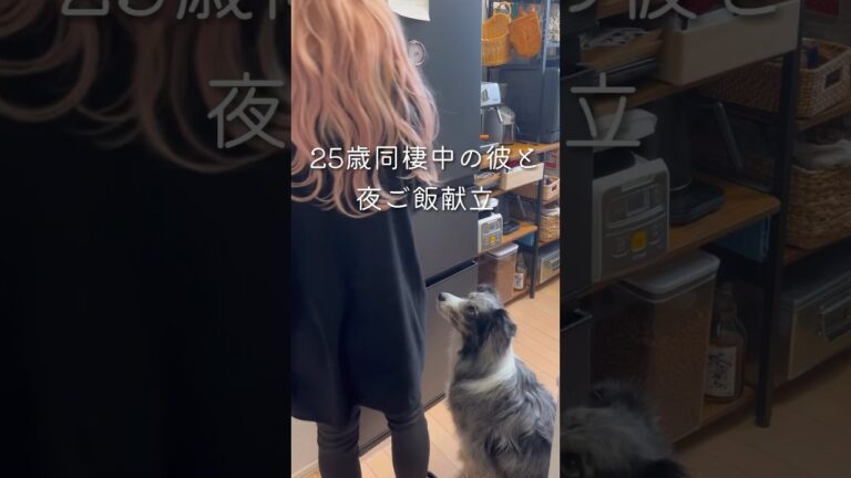 【同棲彼との夜ご飯】大根おろしたっぷり和風ハンバーグ#同棲ご飯 #毎日ご飯 #料理 #献立