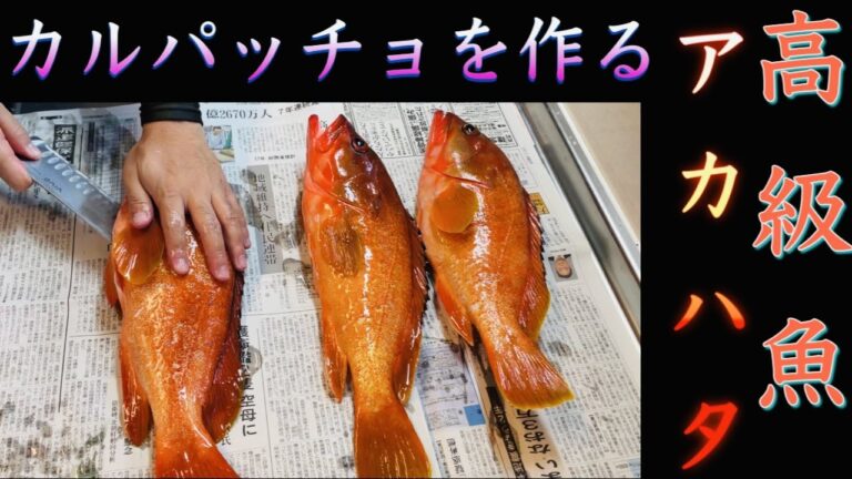 アカハタ晩酌【アカハタのカルパッチョ】