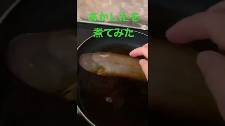 【簡単レシピ】すき焼きのタレであかしたを煮る　ウロコは包丁でそぎとる　#簡単レシピ #自炊レシピ #料理初心者 #魚料理