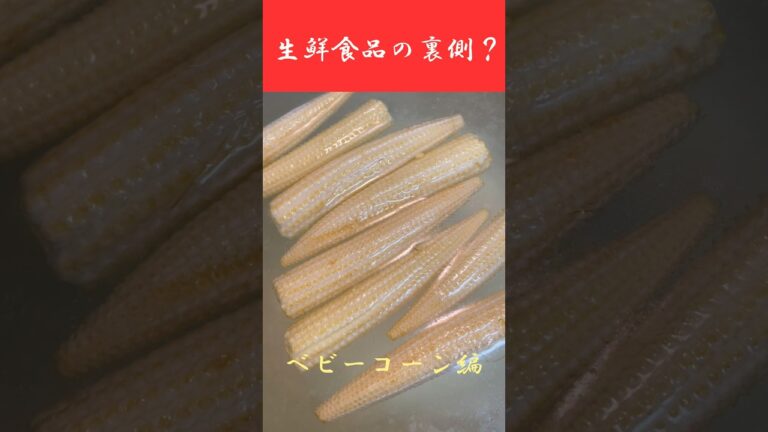 「ベビーコーン」をアルカリ水に漬けたら変な油が浮いてきた！？みんなも一回試してみて！#shorts