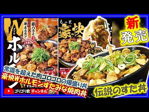 【伝説のすた丼】千葉県柏市　常識を超えた肉ゴロゴロの爆盛り丼・豪快Wホルモンすたみな焼肉丼！
