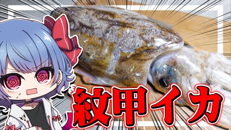 巨大モンゴイカを捌いたら大惨事に！？【お料理】【ゆっくり実況】