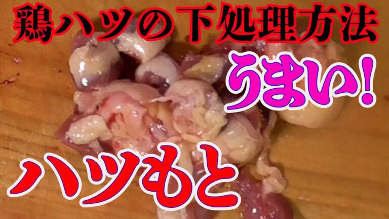 【鶏ハツもと！脂が激うま！】鶏ハツの下処理の仕方！超簡単に出来るおつまみ！