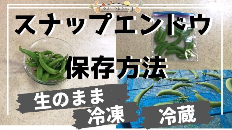 スナップエンドウの保存方法｜冷凍・冷蔵・保存期間と保存食レシピ！乾燥も可能