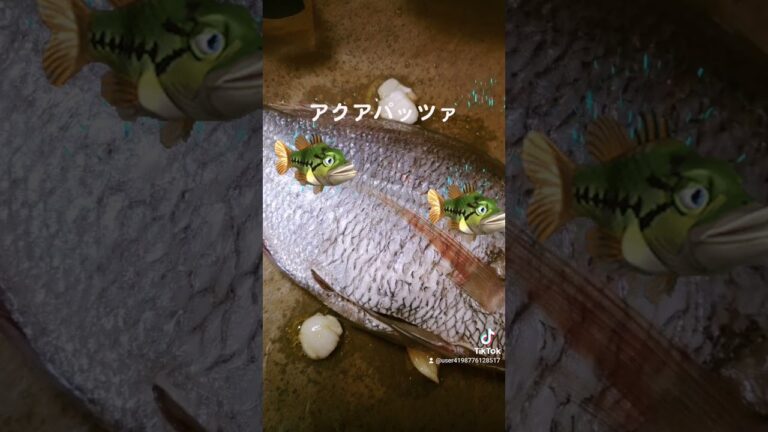 夕飯はアクアパッツァでした。レシピは説明欄へ…#調理師 #料理 #料理動画 #料理好きな人と繋がりたい#おうちごはん#魚#夕飯#クックパッド #レシピ #cooking #fish#shorts