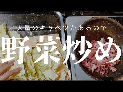 キムチ鍋の素とキャベツで野菜炒め