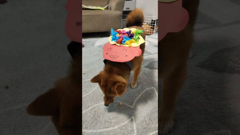 もも(鬼役)と節分