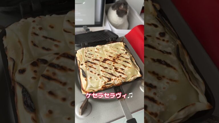 ジャンボ餃子をホットサンドメーカーで焼いた結果ww #shorts