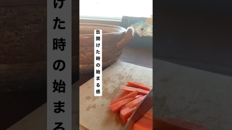 #shorts #washoku #鯖缶 #ごはん