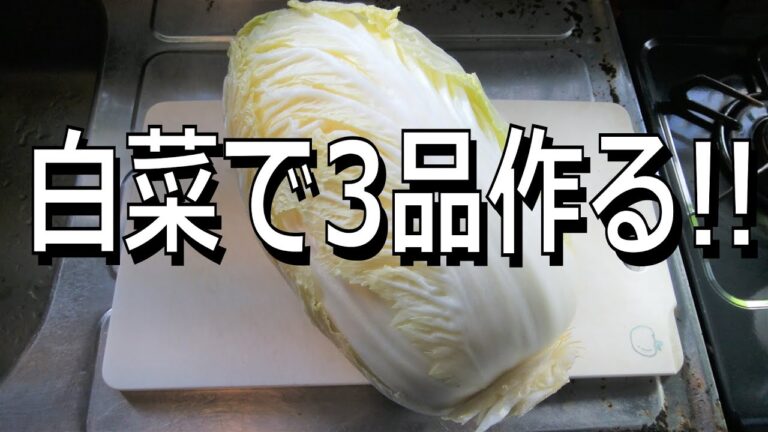 【白菜大量消費】白菜で3品作る!!【白菜を使ったレシピ】