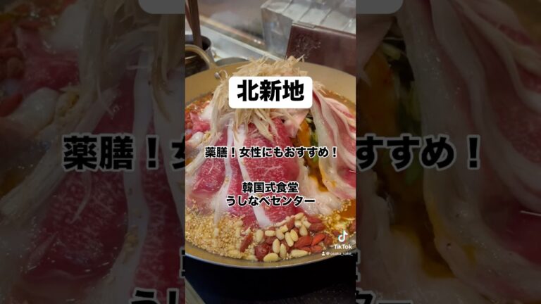 【うますぎ注意】⚠️薬膳たっぷりの韓国式すき焼き鍋。（韓国式食堂うしなべセンター）飲み放題付き1人5000円コースが人気。ボリュームが結構あるので注意です。女性にもおすすめ◎2階は団体の席もあります。