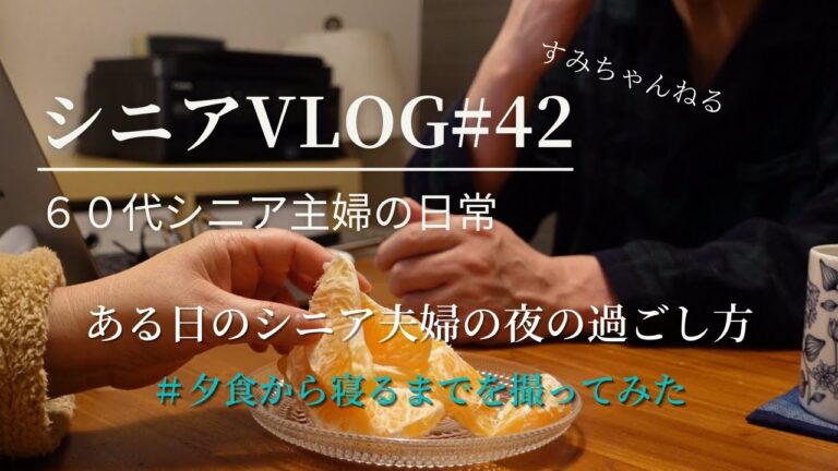 【シニアVLOG#42】６０代シニア主婦の日常　シニア夫婦の夜の過ごし方　夕食から寝るまで　鶏ごぼうきんぴら