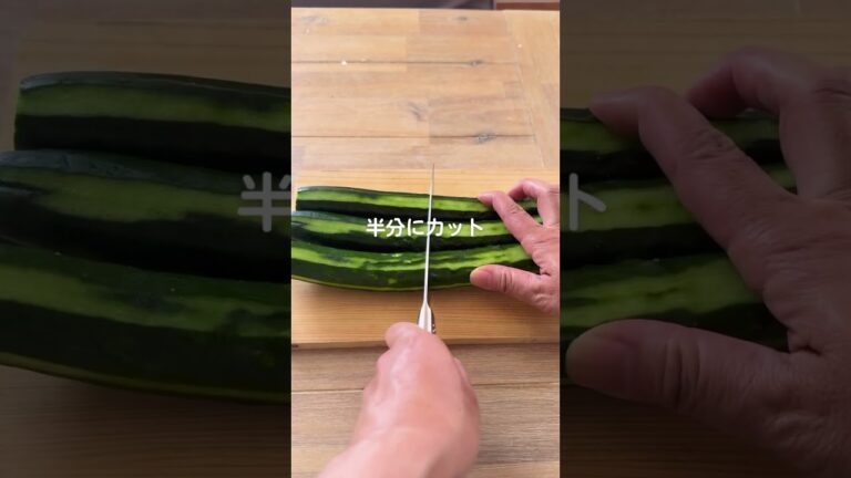 暑い日はこれ！ポリポリ1本きゅうり｜やみつき塩麹レシピ