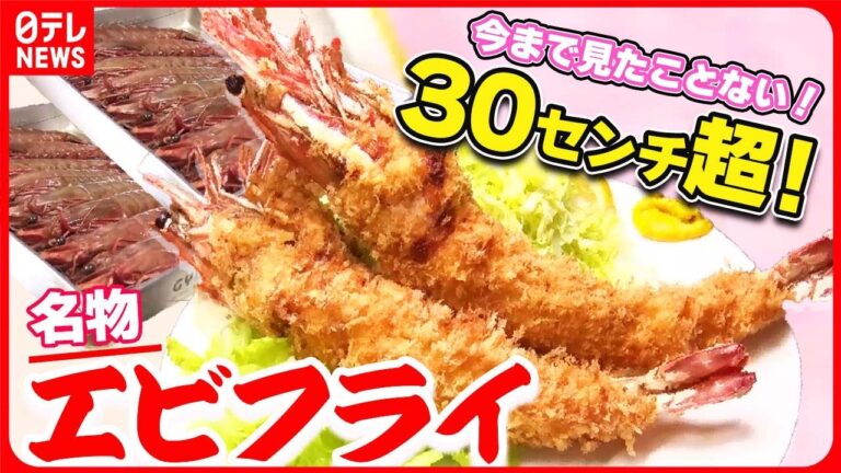 【エビまとめ】ウワサの超特大！ジャンボエビフライ / 家族で守る !洋食店のエビフライ / 長年愛されるこだわりのエビ天　など
