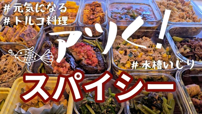 【作り置き12品】暑さにピッタリ！スパイシー♪/ケバブ/ツァイプータン/ユッケジャン/ズッキーニ/なす