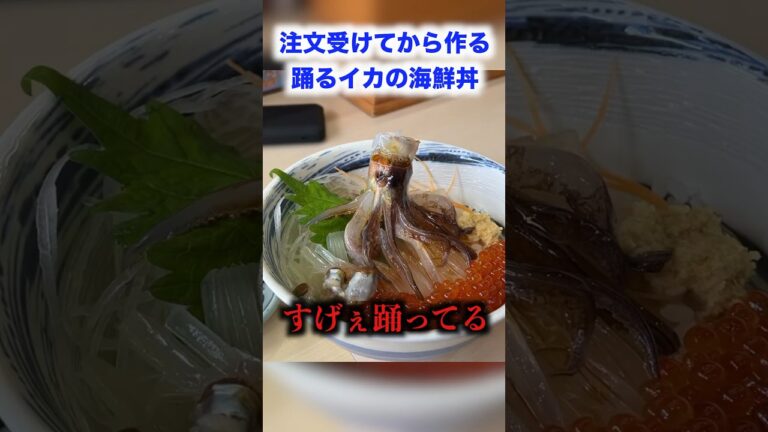 北海道にある踊るイカの海鮮丼がヤバすぎるんだけどwww #shorts #イケメン